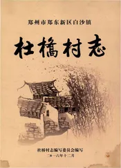 杜桥村志