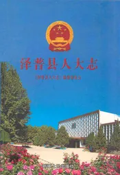 泽普县人大志