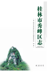 桂林市秀峰区志