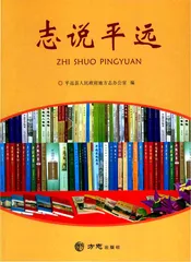 志说平远
