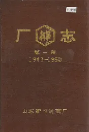 山东新华制药厂志 第一卷