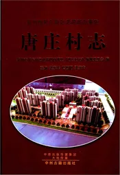 唐庄村志(郑州市)