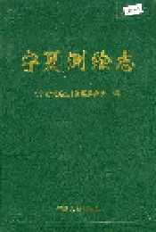 宁夏测绘志