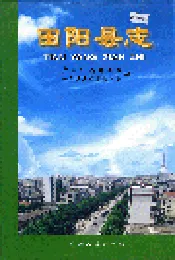 田阳县志