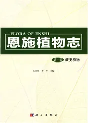 恩施植物志第一卷蕨类植物