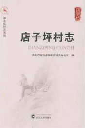 店子坪村志