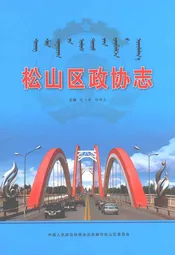 松山区政协志