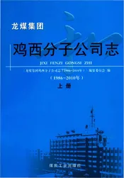 龙煤集团鸡西分子公司志上册