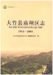 大竹县庙坝区志1911-2001