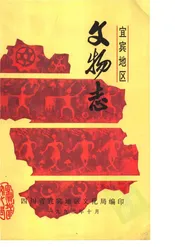 宜宾地区文物志
