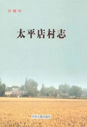 太平店村志