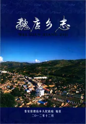 魏店乡志(秦安县)
