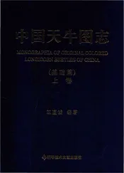 中国天牛图志(基础篇)