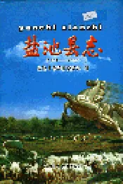 盐池县志
