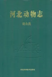 河北动物志 蚜虫类