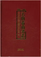 云南省商务志（1985-2005）