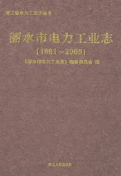 丽水市电力工业志(1991~2005)