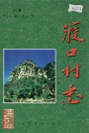渡口村志