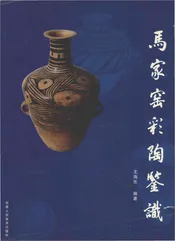 马家窑彩陶鉴识