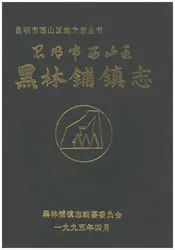昆明市西山区黑林铺镇志