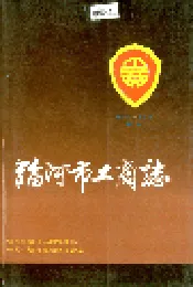 临河市工商志