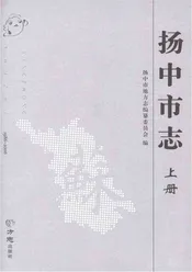 杨中市志 上