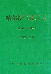 哈尔滨气化厂志(2001-2006)