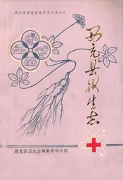西充县卫生志