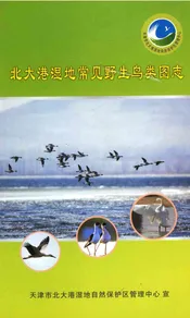 北大港湿地常见野生鸟类图志
