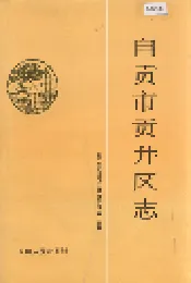 自贡市贡井区志