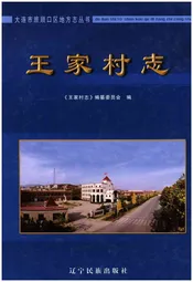 王家村志