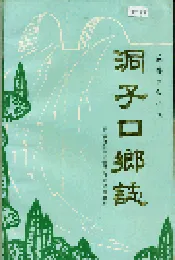 洞子口乡志