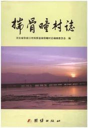 揣骨疃村志