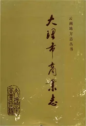 大理市商业志