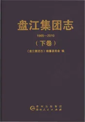 盘江集团志1995-2010（下卷）
