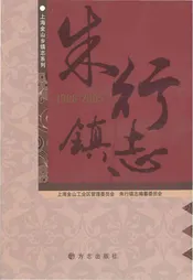 朱行镇志1988-2005