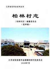 柏林村志（送审稿）