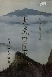 大武口区志