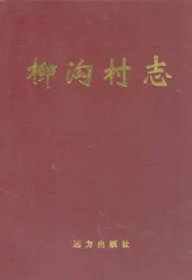 柳沟村志