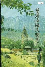 登封名胜文物志