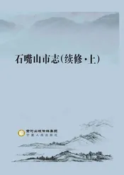 石嘴山市志（续修）上册