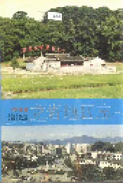福建省龙岩地区志（下）