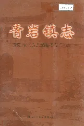 青岩镇志
