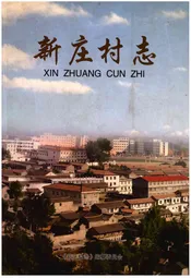 新庄村志