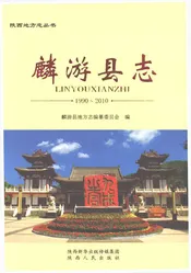 麒游县志1990-2010