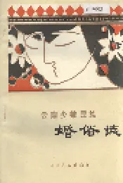 云南少数民族婚俗志