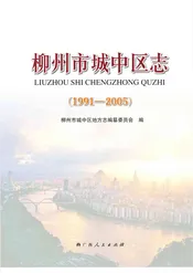 柳州市城中区志(1991-2005)
