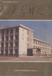 常青村志