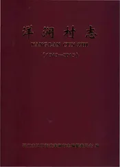 洋澜村志1949-2015(鄂州市)