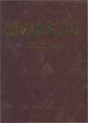 陆川县电力志